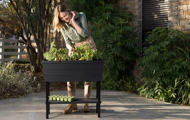 Buy Urban Bloomer Raised Garden Bed, 12.7 Gallon - Keter Canada